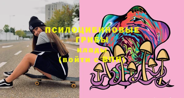 экстази Алексин