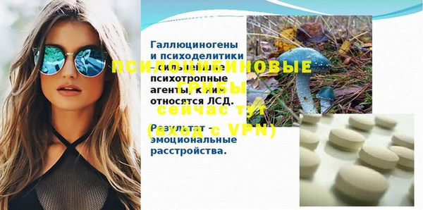 стаф Приозерск